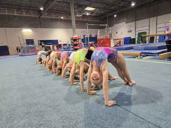 DEVELOPMENTAL TEAMS